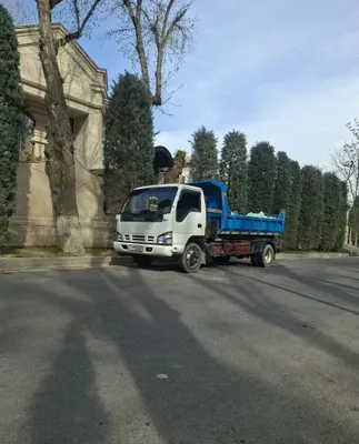 Вывоз мусора Isuzu 24/7 1