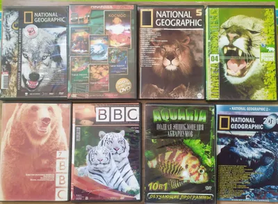 DVD disklar 1