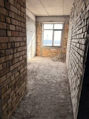 квартира 1