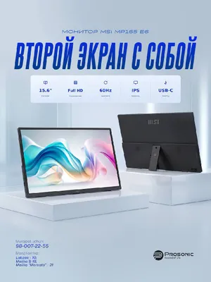 MSI PRO MP165 E6 15.6" Portable Monitor
