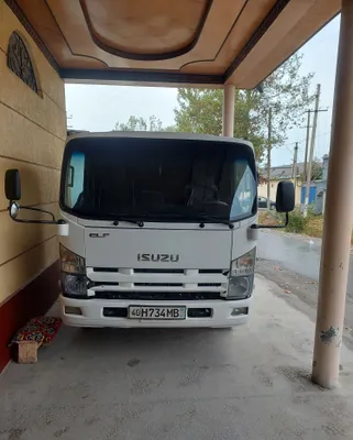 Самосвал Isuzu, 2008 года 1