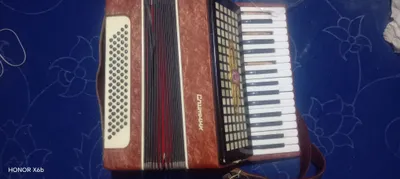 akardion musiqa asbobi
