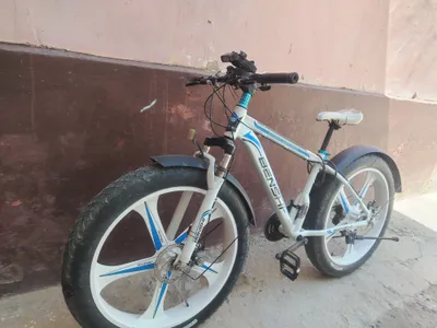 velik sotiladi 26