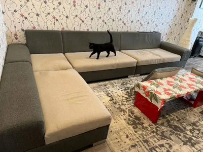 Mebel va matraslarni restavratsiya qilish. Sifatli.