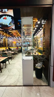 shkaflar vitrine new 1