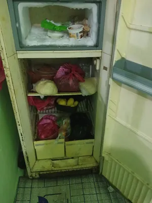 Muzlatgich holati yaxshi Ishlashida muammo yoʻq. 1