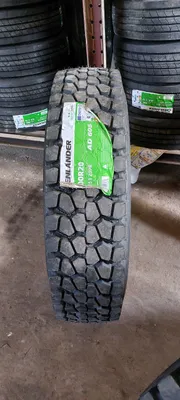 Автошына GRENLANDER 12.00R20 20pr