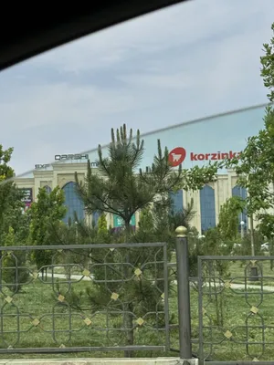 Srochna Karzinka ro’parasidan 6 sotix uchaska sotiladi 1