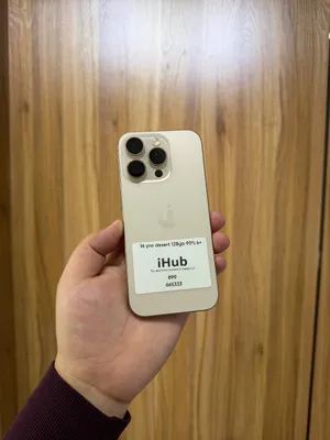 iPhone 16 Pro