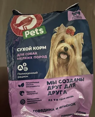 Kichik zotli itlar uchun ozuqa sotiladi. 1