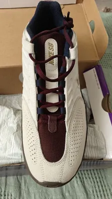 Кроссовки мужские Nike SB Vertebrae 1