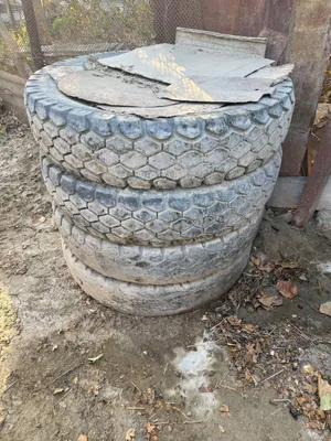 Грузовые автомобильные шины 1