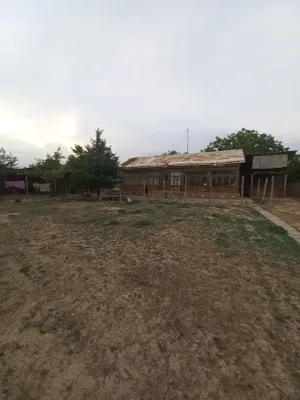 Qibray tumani burota mahallasda Uglavoy 10-sotokli yer maydoni 1
