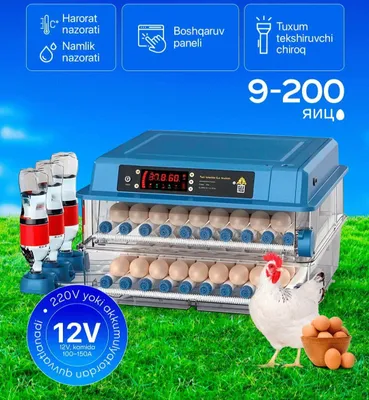 Inkubator 1