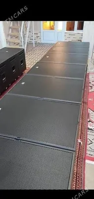 Dynacord niski . 1