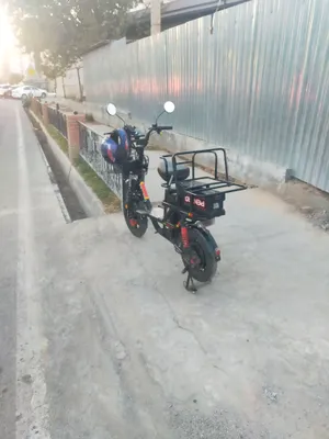 pentro ganlan