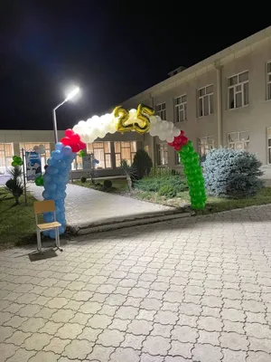 400.000 Sharli Aformleniya bezatish Karusel_dekor Оформление шарами 1