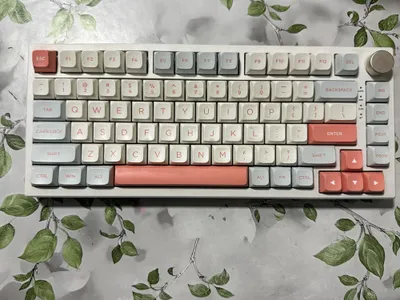VGN N75 PRO Wirless 1