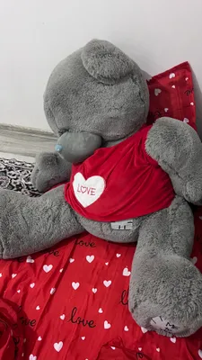 Teddy