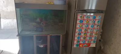 аквариум сотилади