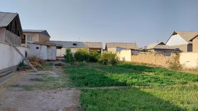 uy sotiladi 12 sotix hovli 1