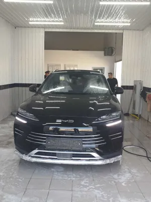 BYD Champion oldingi va orqa bamper himoyasi 1