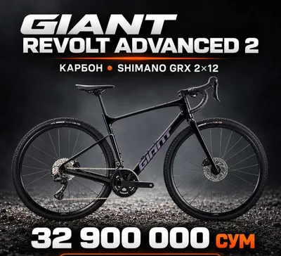Giant Revolt Advanced 2 карбон GRX 2×12 — размер M, в пути 1