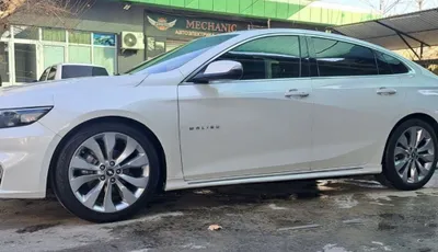 Malibu diska balon sotiladi 1