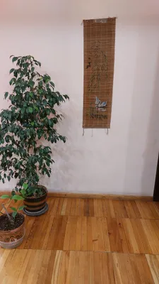 Китайский антикварный поно 1