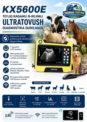 Ветеринарный УЗИ-аппарат Kaixin KX5600E — диагностика 1