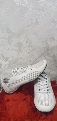 Moda va uslub, krossovkalar