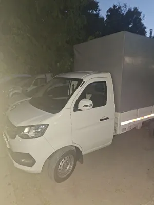 Грузовой Changan S-Haice 1