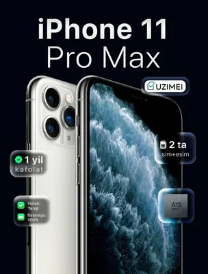 11 pro max 1