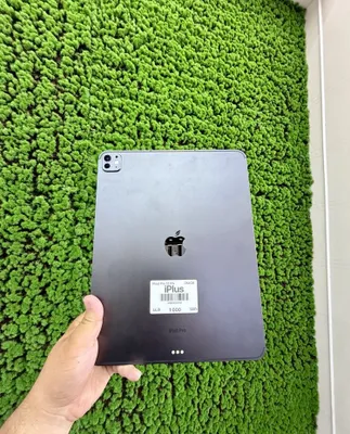 iPad Pro M4 13 дюймов