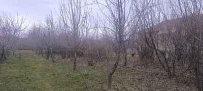 Участок для дачи 1