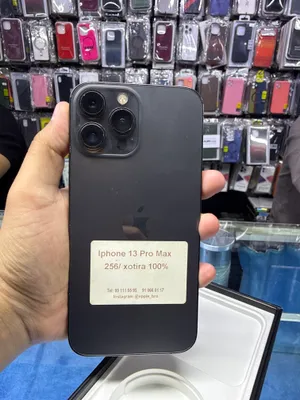 iPhone 13 Pro Max 1