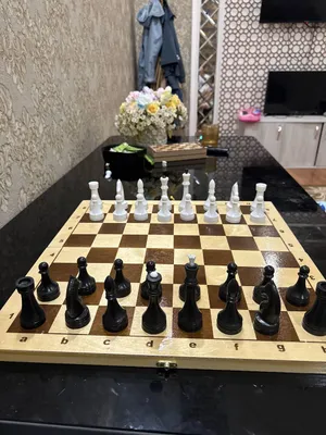 Шахматы shaxmat 1