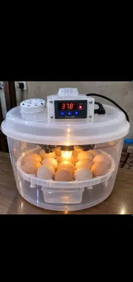 Inkubator 17 talik