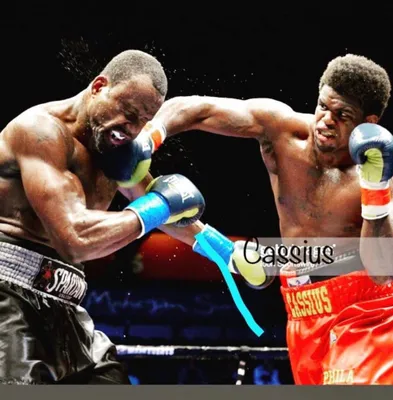 Professional boks: individual yoki guruh mashg‘ulotlari