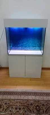 Bizda arzon va sifat Akvarium 150 yangi sotiladi 1