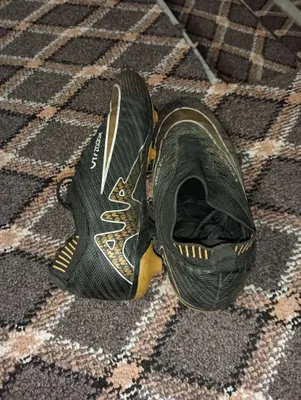 Butsi  UTRZOOM dan butsa 1