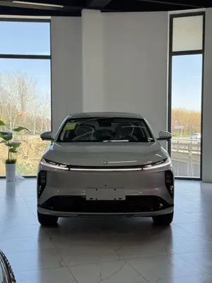 DongFeng L8 1