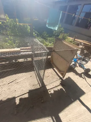 Yangi 2 tasi 1 da tovuq quyon katak 1