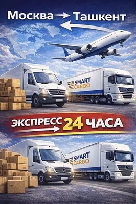 Карго Москва Ташкент Москва за 24 часа 1