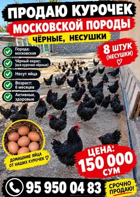 Продаю вещи с 1 года до 15 лет 1