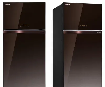 Холодильник Toshiba Инверторный 1