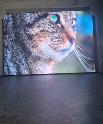 Лед экран, led ekran 1