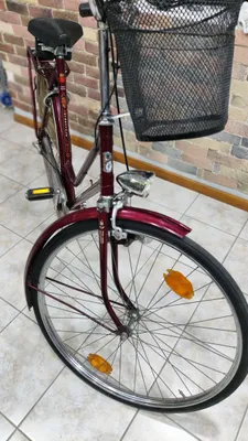 planetar velosiped 1