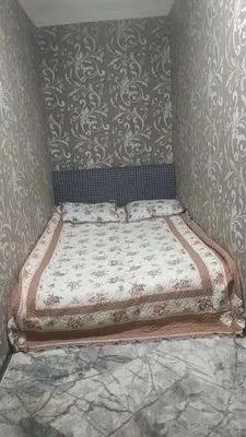 Yashnobod tumanida 3 xonali, 50 m² kvartira ijarasi · ID 15713 1