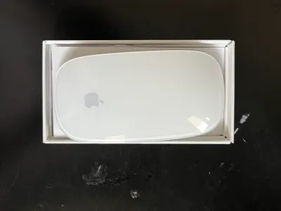 MAGIC MOUSE 1